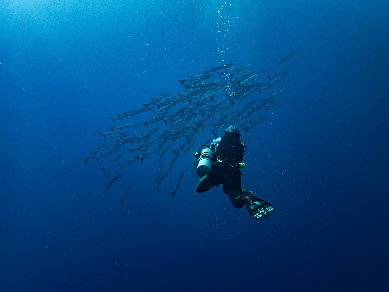 4 juillet 2025À la une Actualités Réseaux et Télécom Protection des câbles sous-marins : un appel urgent à l’action en Europe !